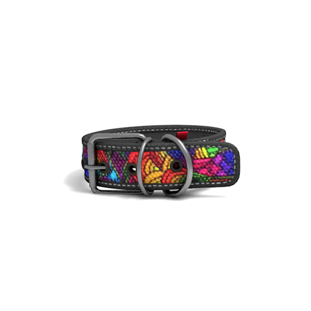 Collar Perro Cool Can Collar Perro Cool Can